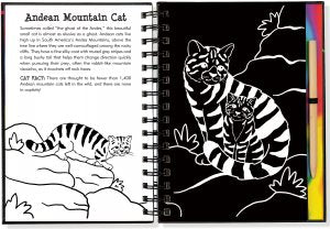 Scratch & Sketch - Wild Cats