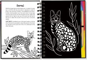 Scratch & Sketch - Wild Cats