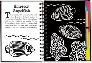 Scratch & Sketch - Under The Sea