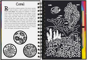 Scratch & Sketch - Coral Reefs