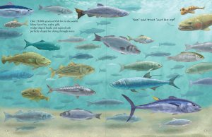Book (Hardcover) - All The Fish In The World