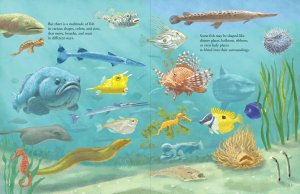 Book (Hardcover) - All The Fish In The World