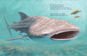 Book (Hardcover) - All The Fish In The World