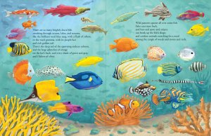 Book (Hardcover) - All The Fish In The World