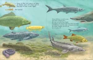 Book (Hardcover) - All The Fish In The World