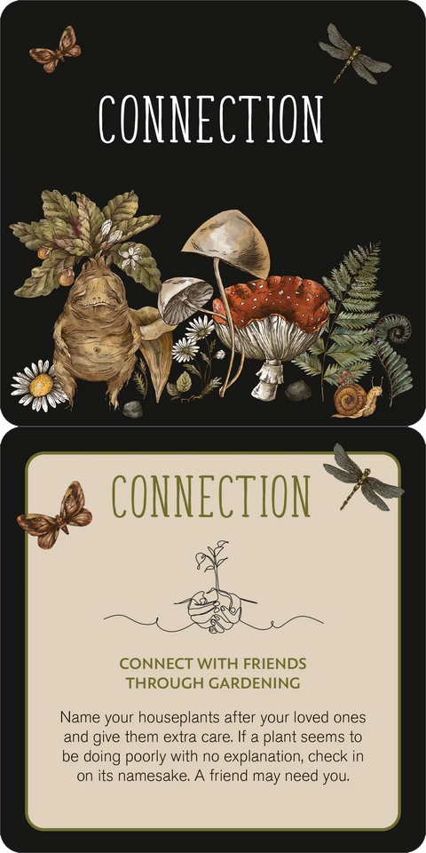 Card Deck - Everyday Spells for Busy Witches