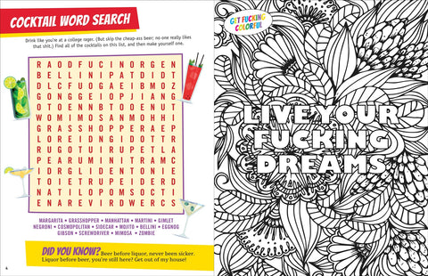 Adult Activity Book - It's All F*cking Fun & Games