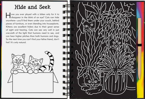 Scratch & Sketch - Kittens