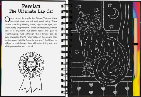 Scratch & Sketch - Kittens