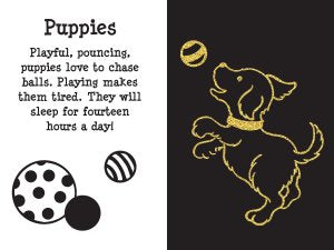 Scratch & Sketch - Furry Friends