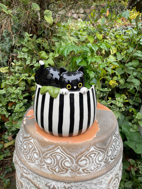 Planter - Peek-A-Boo Kitty