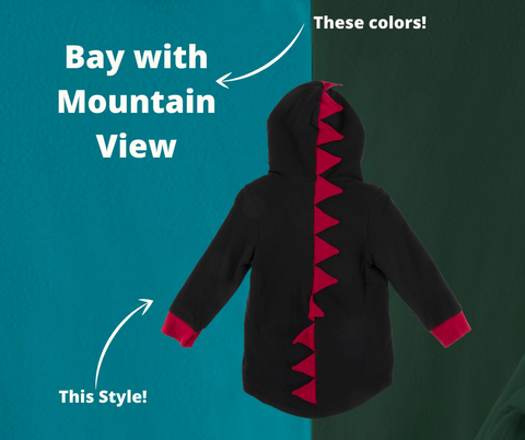 Dino Hooded Jacket (Fleece) - Bay with Mountain View