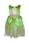 Dress Up - Frog Princess Dress