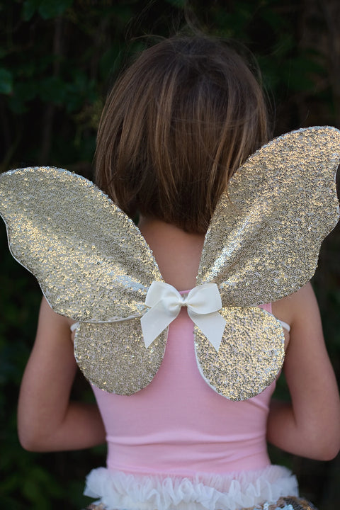 Dress Up - Gracious Gold Sequins Set (Skirt, Wings, Wand)