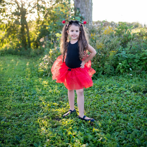 Dress Up - Glitter Ladybug Set