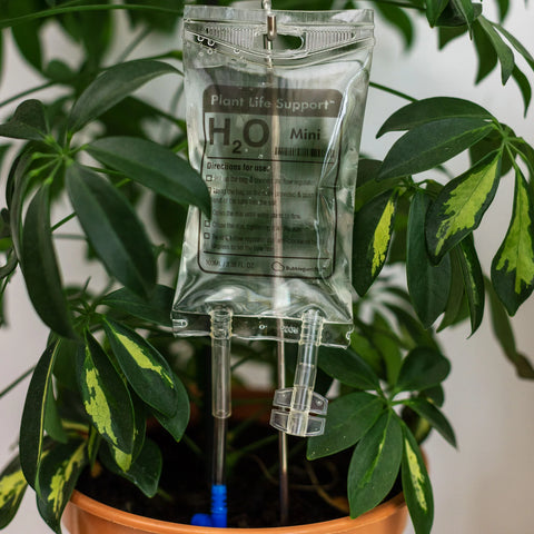 Plant Life Support Mini