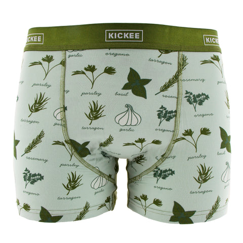 Last One - Size 2XL: Men's Boxer Briefs - Aloe Herbs