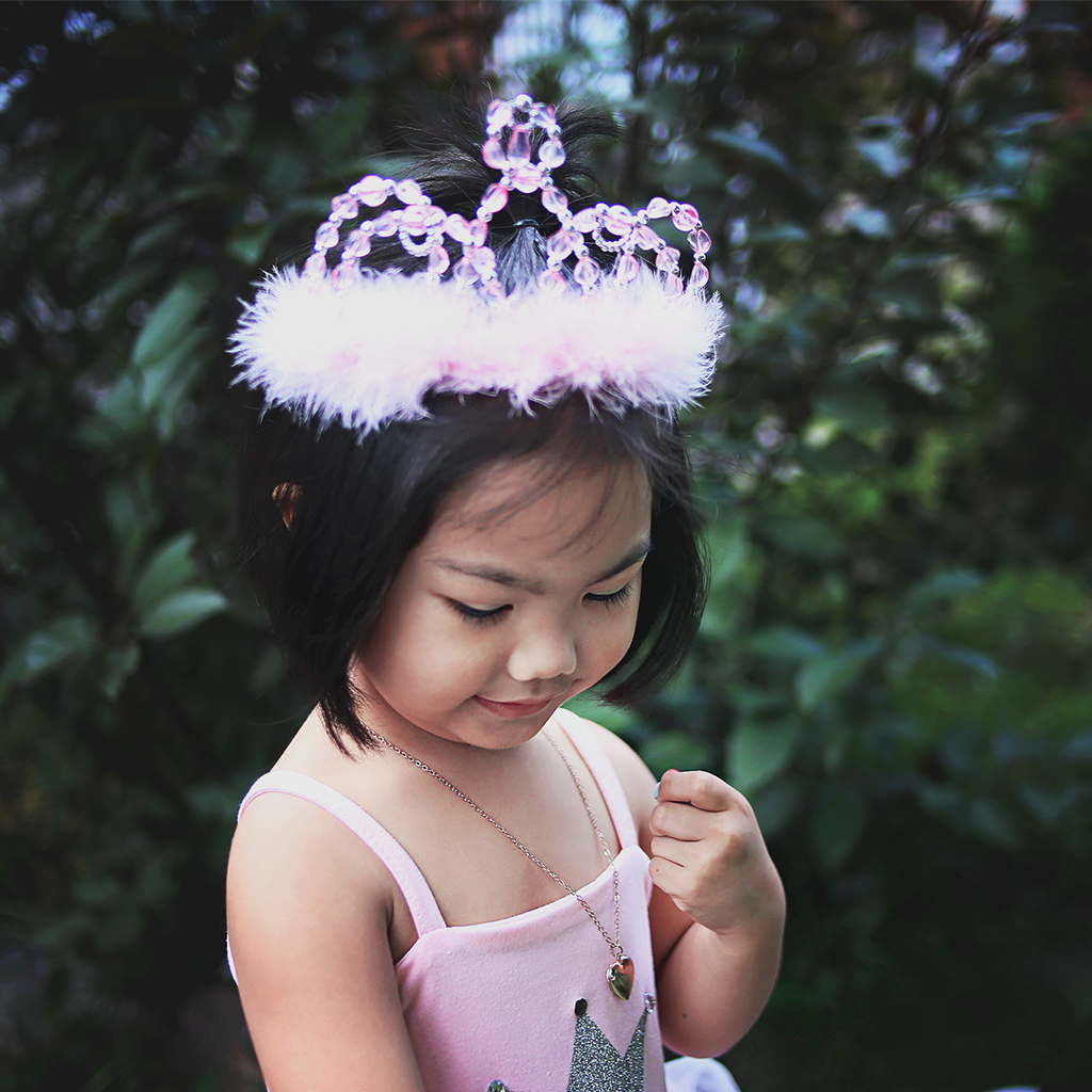 Dress Up - Princess Tiara (Pink + Silver)
