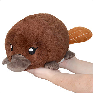 A hand holding a small brown plush toy shaped like a mini baby platypus, with a polyester fiber texture.