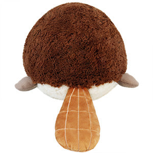 A back view of the plush platypus