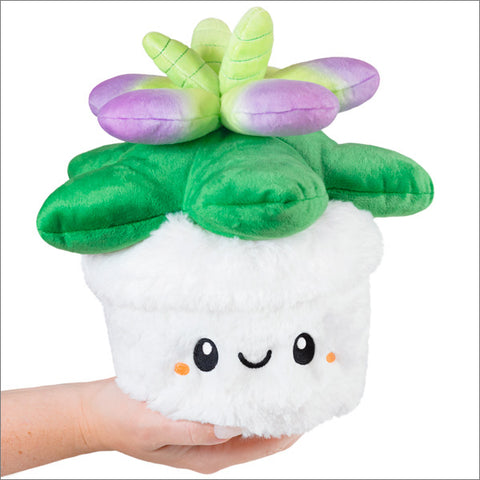 A plush green and purple succulent plant in a white pot. The pot has a smiley face. Held in a hand on a white background.
