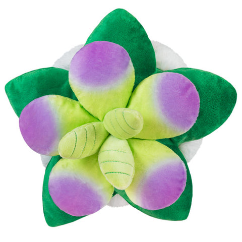 A top-down view of the plush succulent toy. Its leaves are purple and green.