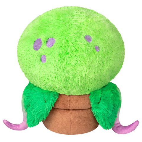 A back view of the plush venus fly trap