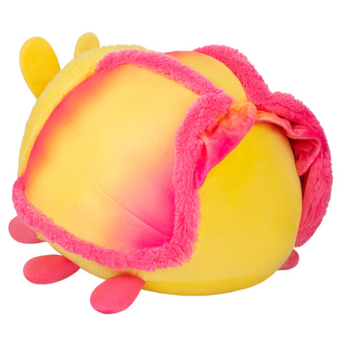 A back-angle view of the plush rosy maple moth