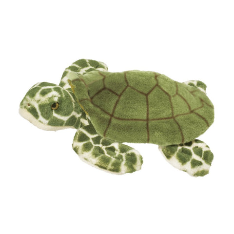 Image shows a green stuffed sea turtle