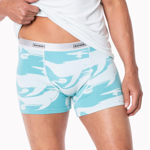 Men's Boxer Briefs - Glacier Cloud Whales