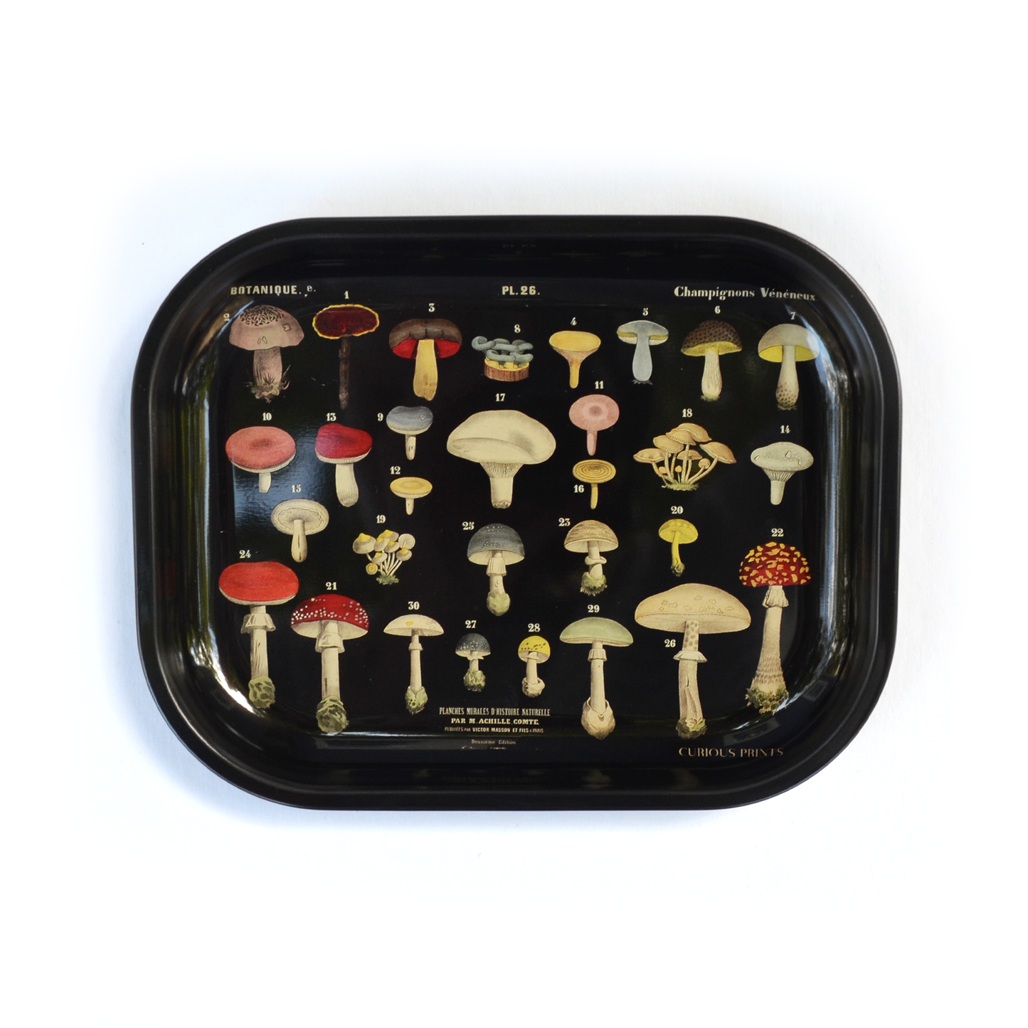 Metal Ritual Tray (Small) - Black Mushroom Vintage Fungi Print
