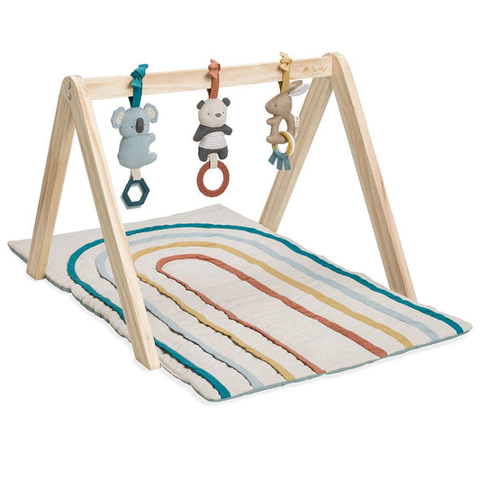 Activity - Wooden Gym with Toys