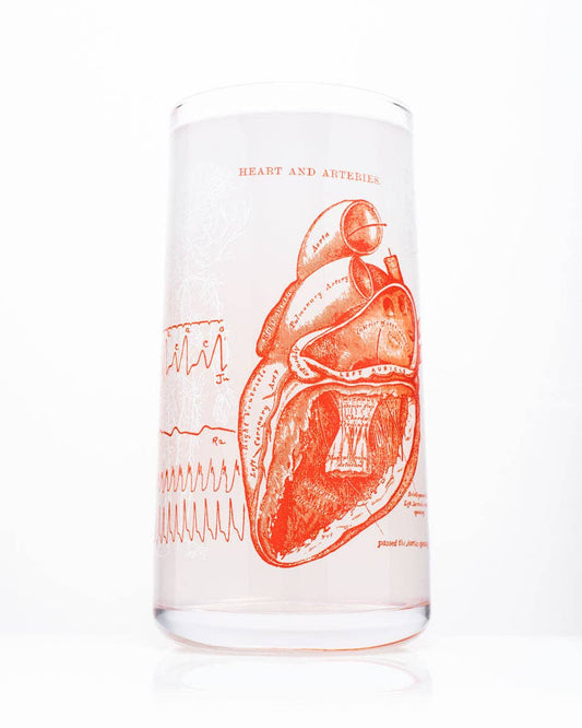 Drinking Glass - Anatomical Heart