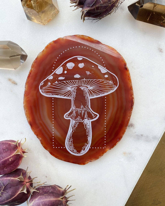 Mushroom Agate Slice - Amanita (3")