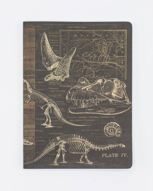 Notebook (Softcover) - Dinosaur w/ Dot Grid