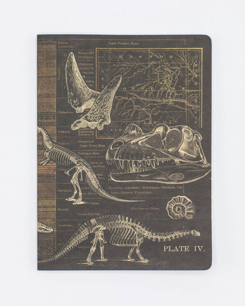 Notebook (Softcover) - Dinosaur w/ Dot Grid