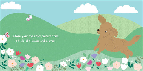 Book (Hardcover) - Breathe Deep, Little Sheep