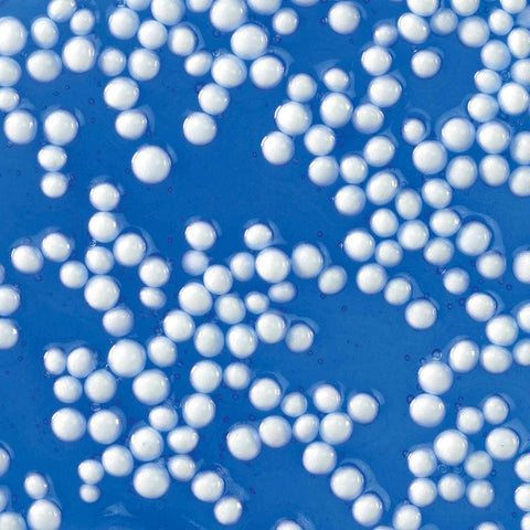 Putty - Popp'n Crackl'N Kraken (3.2 oz)