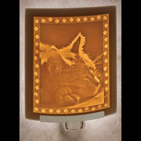 Night Light - Kitten Dreams Curved Porcelain