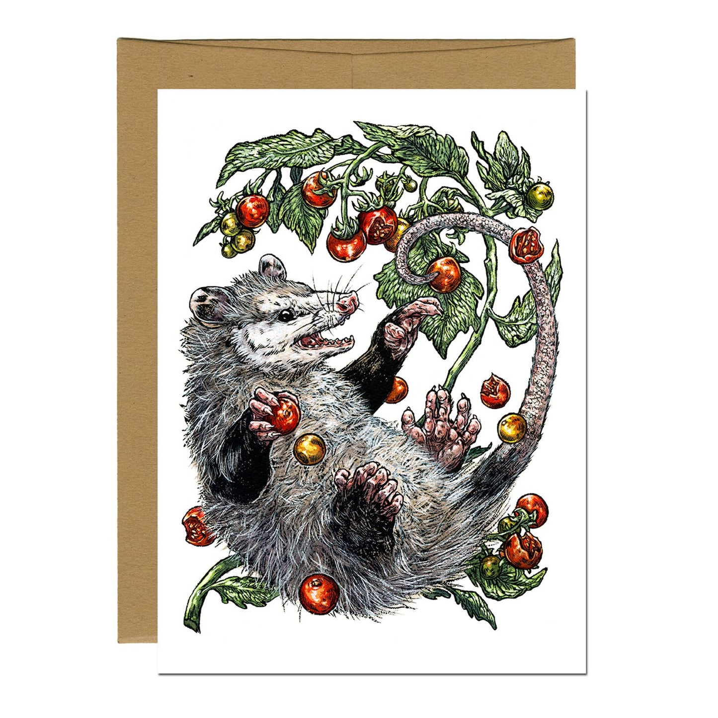 Greeting Card - Opossum & Tomatoes