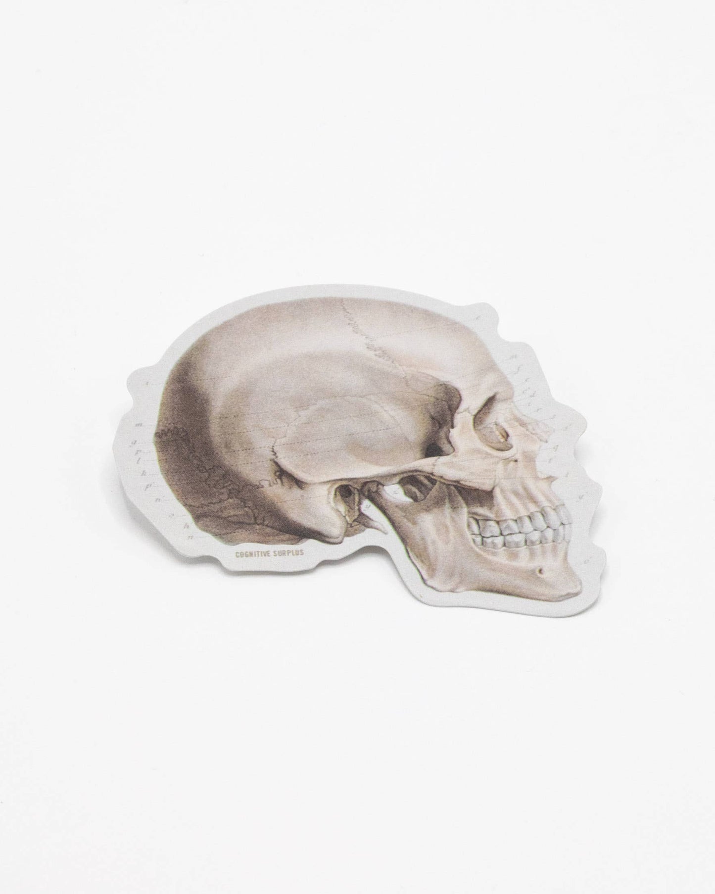 Sticker - Skull Profile