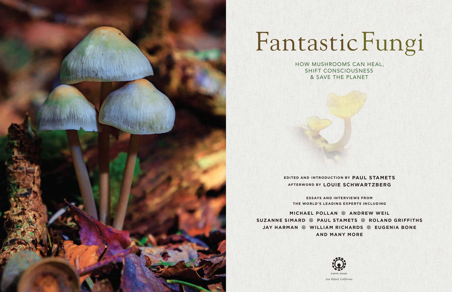 Book (Hardcover) - Fantasic Fungi