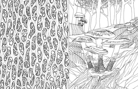 Coloring Book - Fantastic Fungi