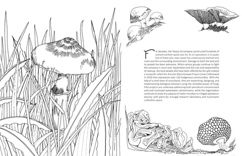 Coloring Book - Fantastic Fungi
