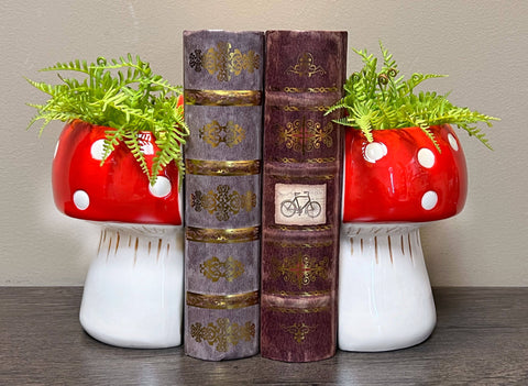 Bookend Planters - Ceramic Mushrooms