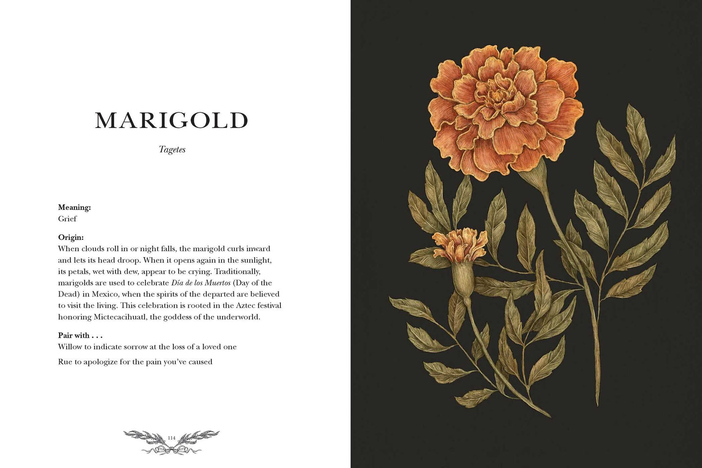 Book (Hardcover) - Floriography