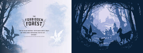 Book (Hardcover) - Harry Potter: Creatures