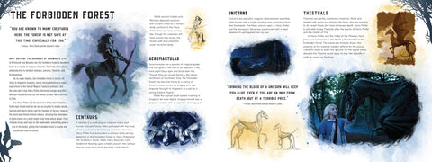 Book (Hardcover) - Harry Potter: Creatures