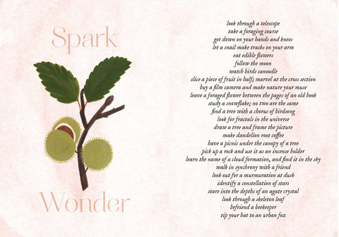 Book (Hardcover) - Into Green