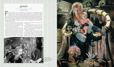 Book (Hardcover) - Labyrinth The Ultimate Visual History